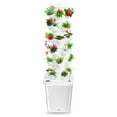 thumbnail image 1 of 6-Layer Hydroponic Tower | 30-Plant Indoor Garden | Soilless Vertical Growing Kit, 1 of 7