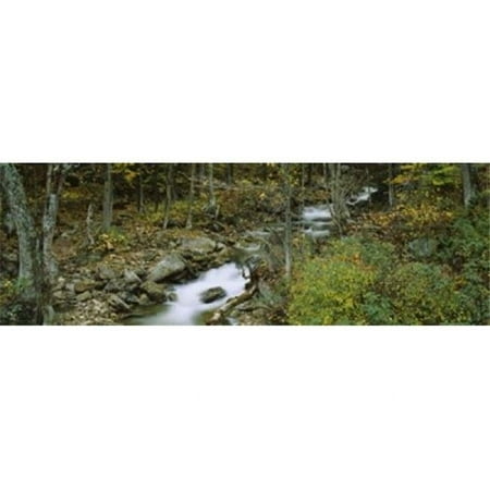 High angle view of a stream passing through a forest New Hampshire USA Poster Print by - 36 x 12