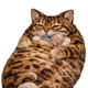 thumbnail image 5 of Saco de dormir tipo sobre con diseño de gatos para siestas y relajación. Adorable saco de dormir con forma de gato. Ideal para amantes de los gatos, ideal para climas fríos, ideal para adultos, perro, 5 of 7