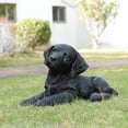 thumbnail image 5 of Hi-Line Gift Ltd. Midnight Reverie: Sleek Black Polyresin Lying Labrador Figurine, 5 of 5