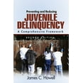 thumbnail image 2 of Preventing and Reducing Juvenile Delinquency: A Comprehensive Framework, 2 of 2