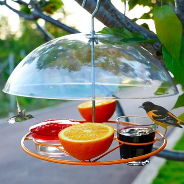 Wood Link Classic Oriole Feeder - Walmart.com