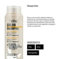 thumbnail image 4 of Lendan - Colored Hair Shampoo - Terra Color Shampoo - 300 ml - Prevents Color Oxidation and Prolongs Its Duration - Adds Brightness and Protection - Strengthens Hair - Shiny Hair - Vegan, 4 of 8