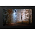 thumbnail image 2 of Maier, Norbert 14x10 Black Modern Framed Museum Art Print Titled - Autumn Colors, 2 of 5