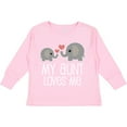 thumbnail image 3 of Inktastic My Aunt Loves Me Niece Nephew Elephant Boys or Girls Long Sleeve Toddler T-Shirt, 3 of 5