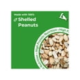 thumbnail image 4 of Lyric Peanut Pieces Wild Bird Seed, No Waste Bird Food - 15 lb. Bag, 4 of 10