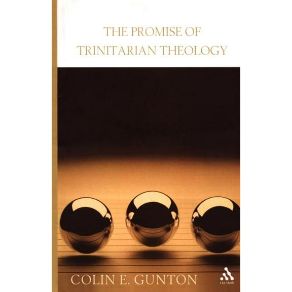 The Promise of Trinitarian Theology, (Paperback)