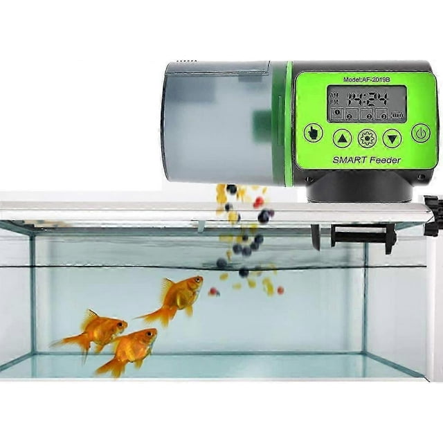 Automatic Fish Food Dispenser With Timer And Lcd For Aquarium-2025
