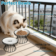 thumbnail image 4 of Cat Bowls, Elevated Cat Bowl, Raised Ceramic Dish with Metal Stand, Pet Water or Food Feeding Station for Indoor Cats, Kitten, Puppies and Small Dogs, Dishwasher Safe, 4 of 5