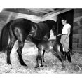 thumbnail image 2 of Ronald Reagan On "Tar Baby" And Her Foal History (36 x 24), 2 of 2