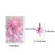 thumbnail image 3 of Juego de adornos para árbol de Navidad | Colgante de estrella octogonal | Adornos de plástico con perlas en rojo, azul, dorado, café, naranja y rosa | Decoración navideña fácil de colgar para, 3 of 6