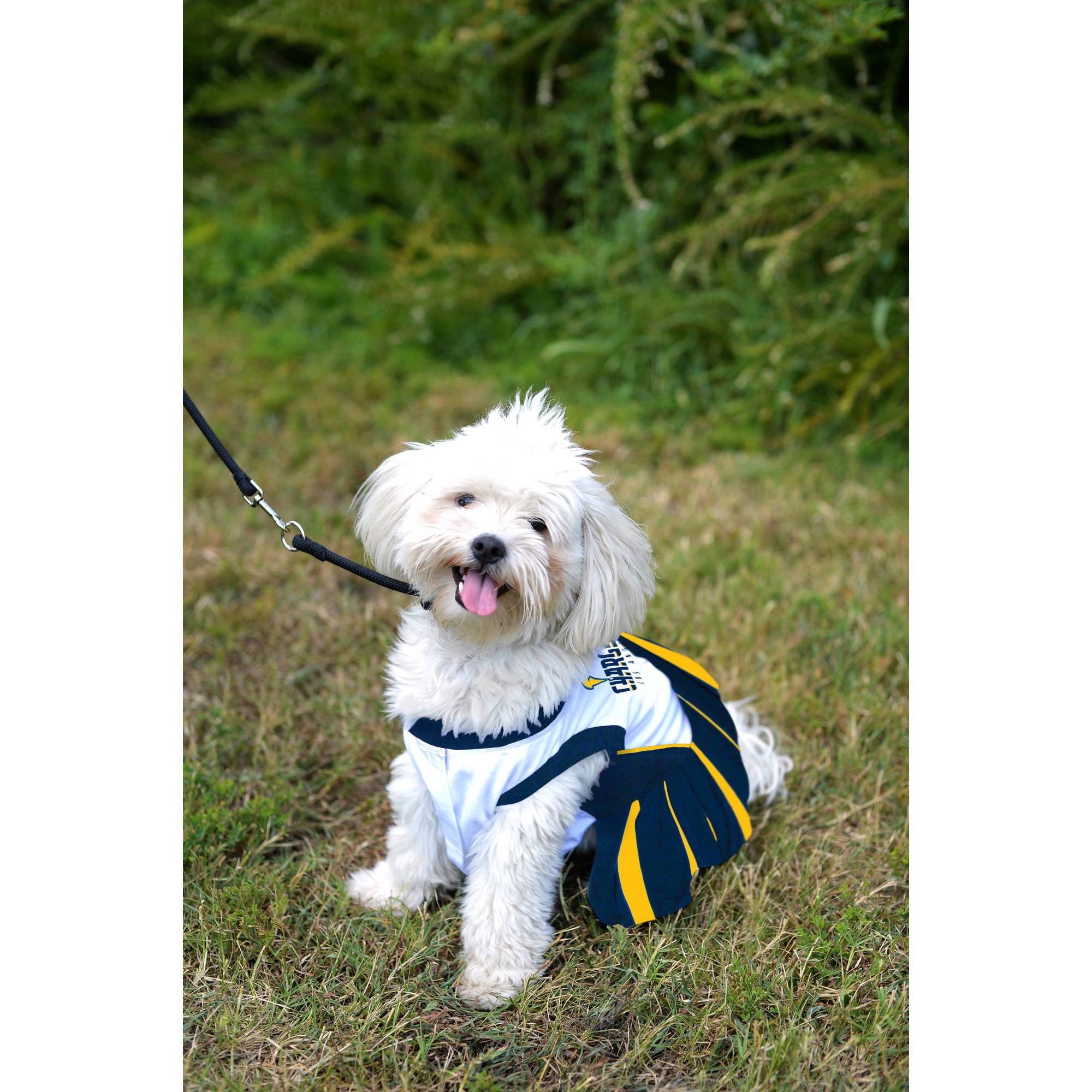 Dog dallas cowboys clearance cheerleader costume