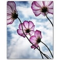 thumbnail image 1 of Picture-Tiles.com: Flowers Ceramic Tile Wall Mural WAL500627-45XL. 48"W x 60"H using (20) 12" x 12" Ceramic Tiles-Satin Finish, 1 of 3