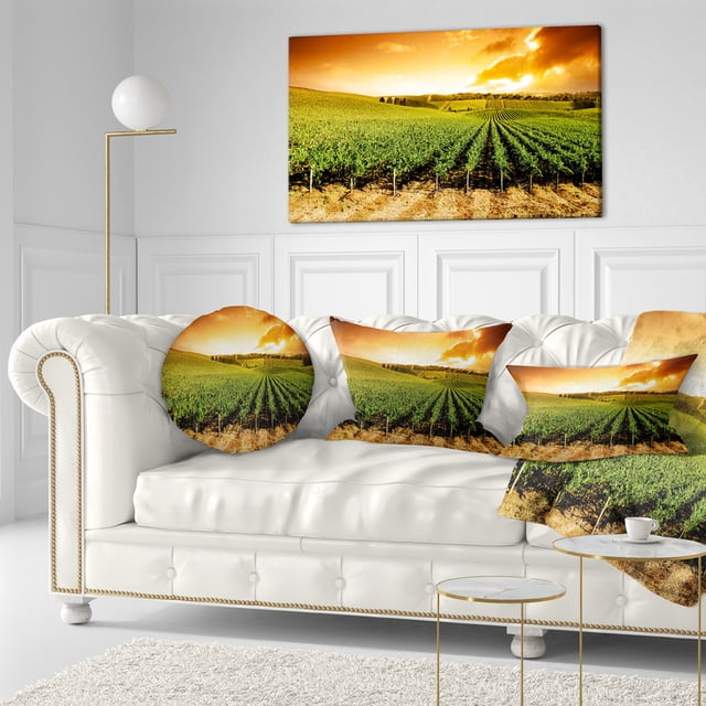 Panorama de Vignoble au Coucher du Soleil - Art Mural Paysage Extra Large