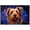 Australian Terrier, variant on Irish Setter Dog Canvas Prints of Starry Night Paintings Wall Decor - Canvas Wall Art for Living Room Home decorations - Pet Bathroom Decor