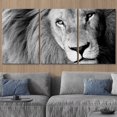 thumbnail image 3 of wall26 - 3 Piece Canvas Wall Art - Close Up of Male Lion, B&amp;W - Modern Home Art Stretched and Framed Ready to Hang - 24"x36"x3 Panels, 3 of 5
