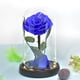 thumbnail image 4 of Decoración de flores eternas, base de cubierta de cristal rosa con luces, regalos navideños, regalos de cumpleaños para amigos y familiares, 4 of 5