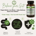thumbnail image 4 of Prebiotic & Probiotic Supplement – 60 Tablets – Gut Health & Digestive Enzymes – Lactobacillus, Bifidobacterium, Agave Inulin, Papaya, Ginger & Vitamin C – 30-Day Supply - Probioticos, 4 of 7