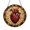 Acrylic 3.5 Inch, variant on Human Heart Anatomical Stained Glass Style Suncatcher – Window Art