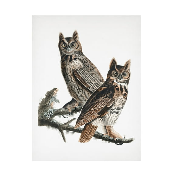 Trademark Fine Art Pictufy Great Horned Owl From Birds of America 1827 Canvas Wall Art