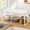 White, variant on Expandable Adjustable Height Cabinet Shelf Organizer Riser for Kitchen Pantry Cupboard Under Sink Countertop Storage Space Saver Stackable Metal White XXL