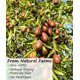 thumbnail image 2 of Fruta ULTHMOK Dátiles Rojos Jujube 453 g Secos Naturales, 2 of 8