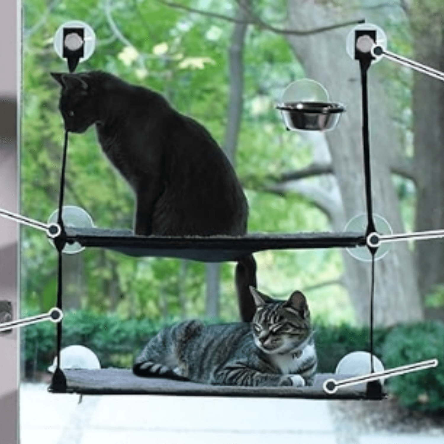 EZ Mount Double Stack Cat Window Perch for Large Cats, Sturdy Window Hammock Bed, Steel Frame, Sturdy Suction Cups, 2 Washable Shelf Covers, Foldable - Fits 27"W X 31"H Glass Spaces