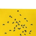thumbnail image 2 of 30 Uds Trampas Adhesivas Doble Cara 8x4 Pulgadas para Moscas La Mata Mosquitos Amarillo, 2 of 5