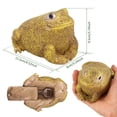 thumbnail image 4 of CNKOO Ladybug Spare Keys Hider Outdoor Weatherproof Key Hiders for Garden Outdoor(Frog), 4 of 5