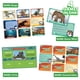 thumbnail image 3 of Juegos de cartas de animales prehistóricos de The Young Scientist: 4 juegos para niños de 5 años en adelante: Trivia de memoria de bingo a juego - Diversión educativa práctica para niños, 3 of 5