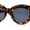 Tortoise - Black, variant on Womens Thick Plastic Mod Fashion Large Cat Eye Sunglasses Black Tortoise Light Brown