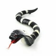 thumbnail image 2 of Odyssey ODY590 Remote Control Snake, 2 of 3