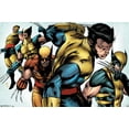 thumbnail image 1 of Wolverine de Marvel Comics - Évolution, 1 of 4