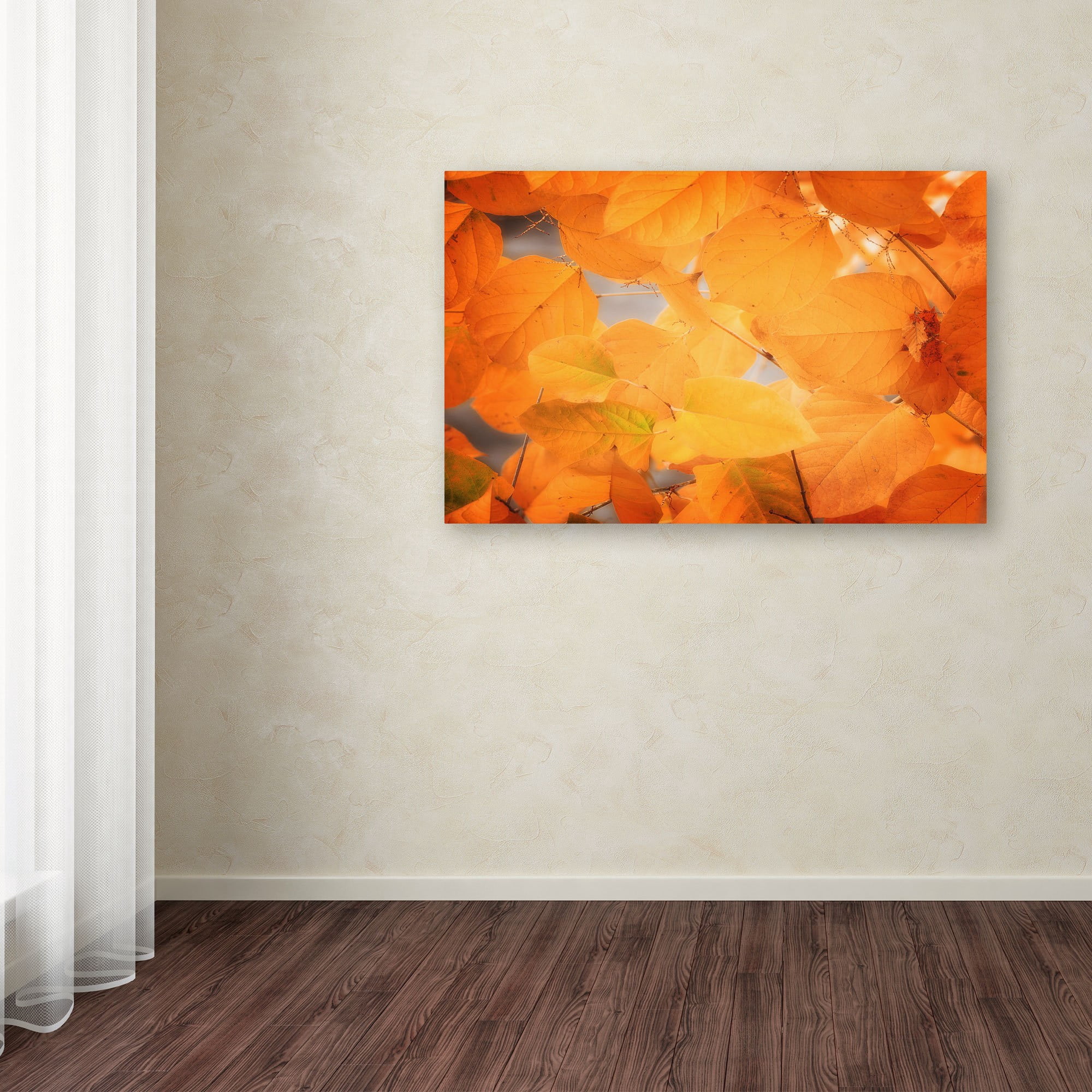 Trademark Fine Art Landscapes Canvas Art ' Seasonal Leaves ' by Philippe Sainte-Laudy