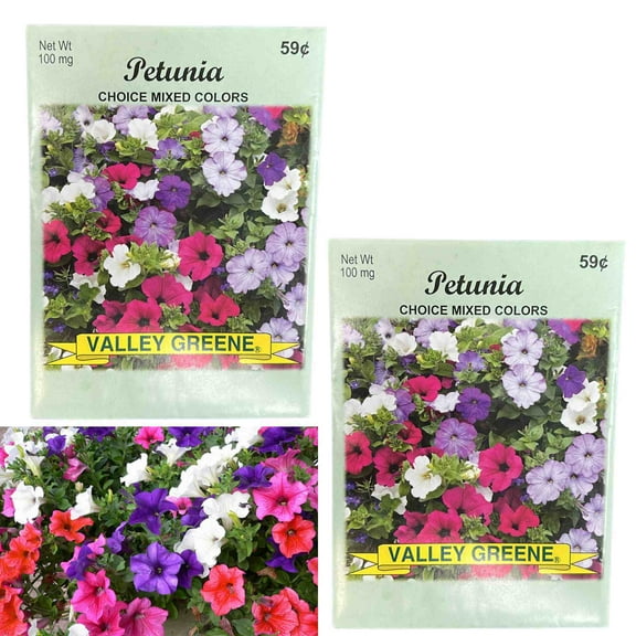 Valley Greene 100mg Petunia Seeds – Choice Mixed Colors:2CT