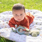 aden + anais essentials cotton muslin blanket, Blue, Dino Jungle, Infant, Boys