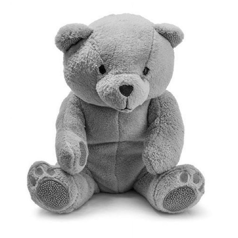 Teddy bear blanket discount buddy