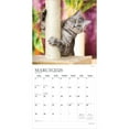 thumbnail image 3 of I Love Cats | 2026 12x24" (Hanging) Monthly Square Wall Calendar | Plato, 3 of 9