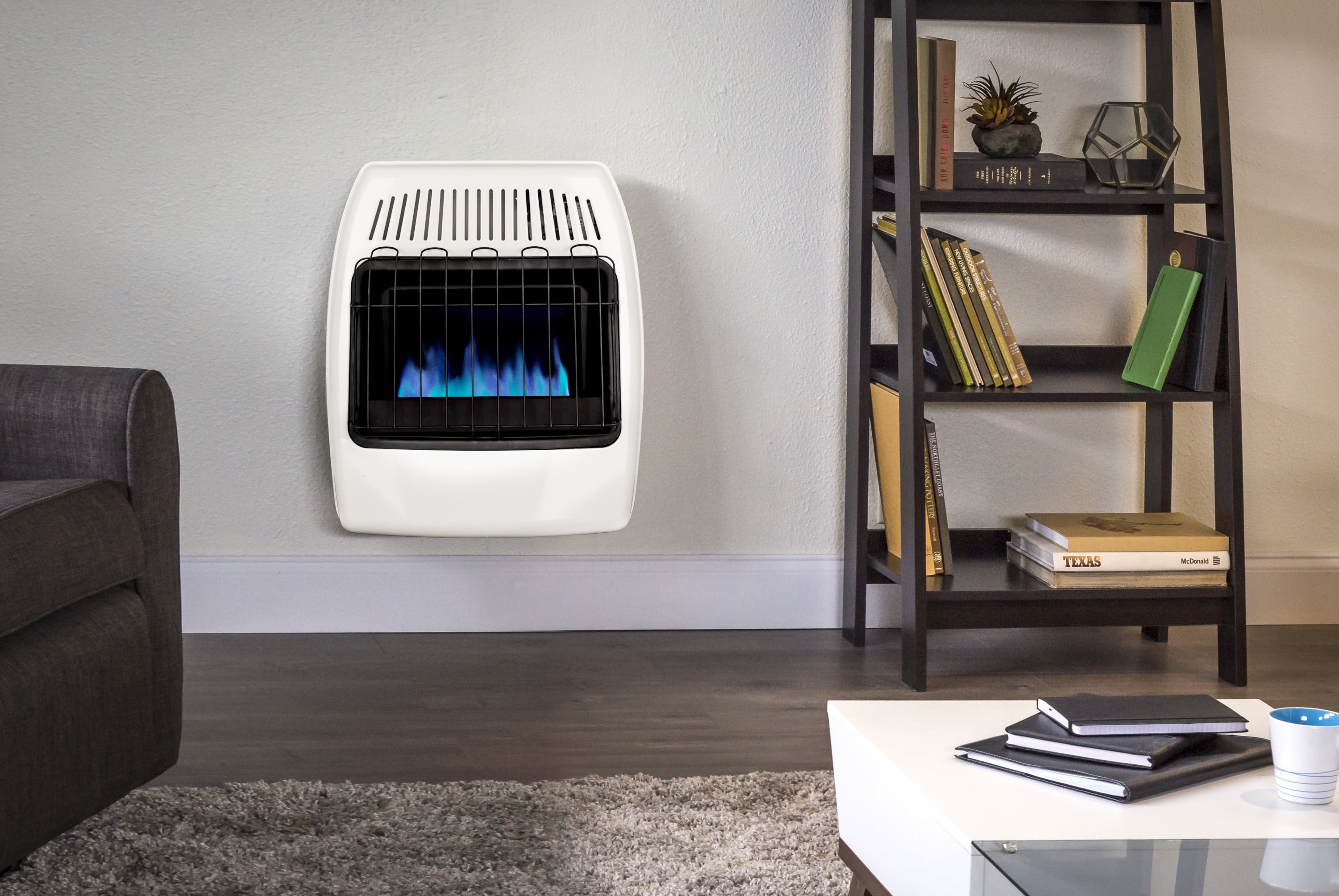 Dyna-Glo 20,000 BTU Liquid Propane Blue Flame Vent Free Wall Heater -  Walmart.com
