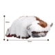 thumbnail image 2 of APPA-peluche de Anime de 50cm para niños, Avatar Kawaii, The Last airdobladora, Appa, serie de TV, muñeco de peluche, Avatar, 2 of 5