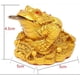 thumbnail image 3 of 5x Adorno Hogar Rana Sapo, 3 of 9