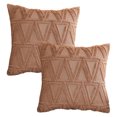 thumbnail image 1 of Juego de 2 fundas de almohada decorativas de terciopelo de felpa corta y suave, funda de cojín cuadrada, 1 of 5