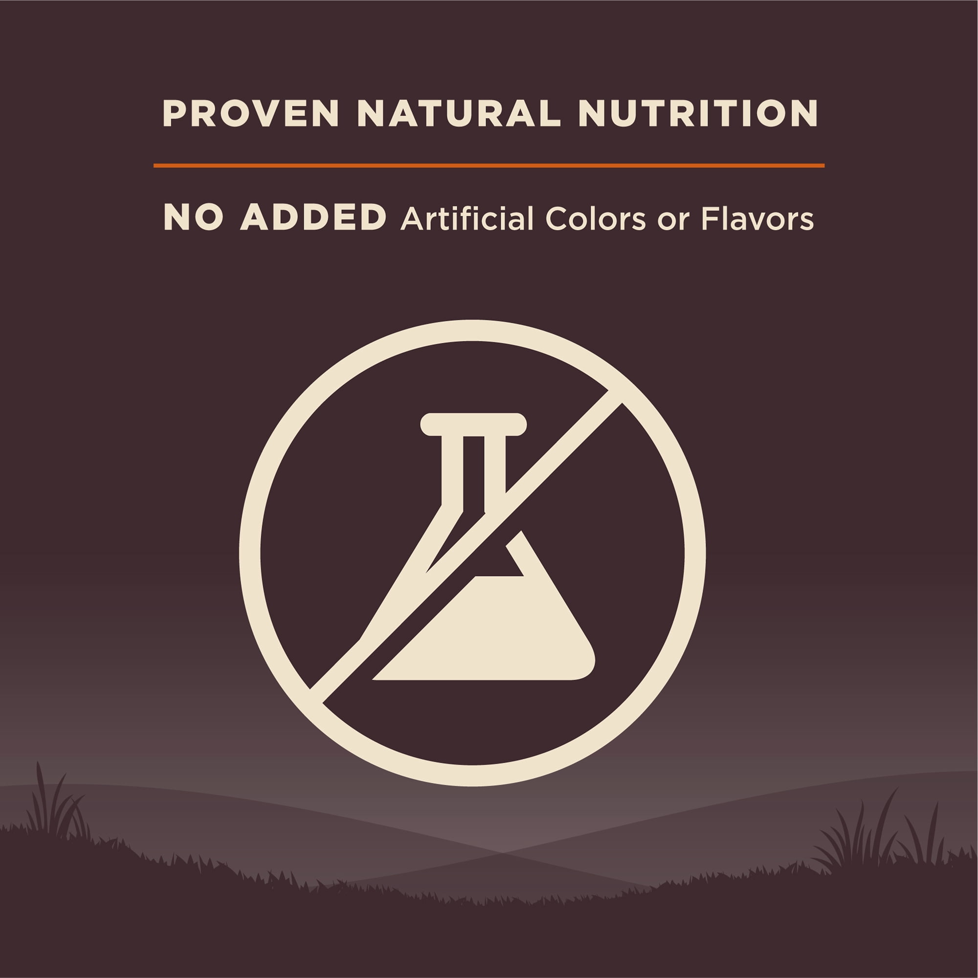 Wellness CORE Dry Dog Food, Grain Free, High Protein, Natural, Original Turkey & Chicken Recipe, (26-Pound Bag)