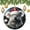 pattern-4, variant on Christmas Ornament Zebra Animal 3" Circle Ceramic Ornament Animated Zebra with Christmas Decorations Holiday Ornament for Home Christmas Tree Decor Housewarming Gift