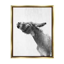 Stupell Industries Donkey Bathroom Splash Animals & Insects Painting Gold Floater Framed Canvas Art Print Wall Art, 25 x 31