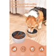 thumbnail image 2 of Bol d'Alimentation Lente pour Chiens et Chats, 2 of 5