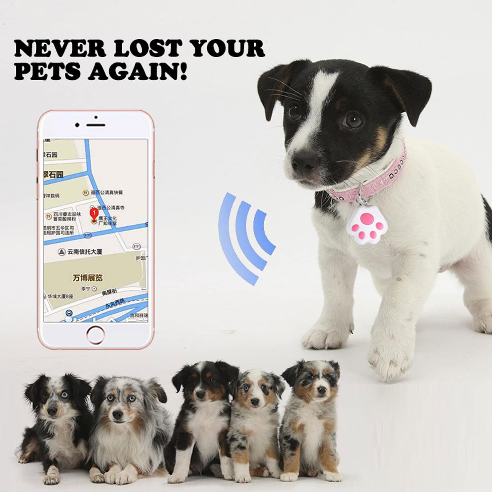8-Pack Mini Dog GPS Tracker – Portable Bluetooth Anti-Lost Device for Pets & Luggage (No Monthly Fee, Long Battery Life)