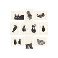 thumbnail image 2 of Princeton Architectural Press Cat Box: 100 postales de 10 artistas, 2 of 11