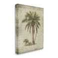 thumbnail image 4 of Stupell Industries Vintage Palm Tree Study Botanical & Floral Painting Gallery Wrapped Canvas Art Print Wall Art, 24 x 30, 4 of 8