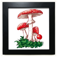 thumbnail image 1 of Delicious Red Poisonous Mushroom Illustration Black Square Frame Picture Wall Tabletop, 1 of 3